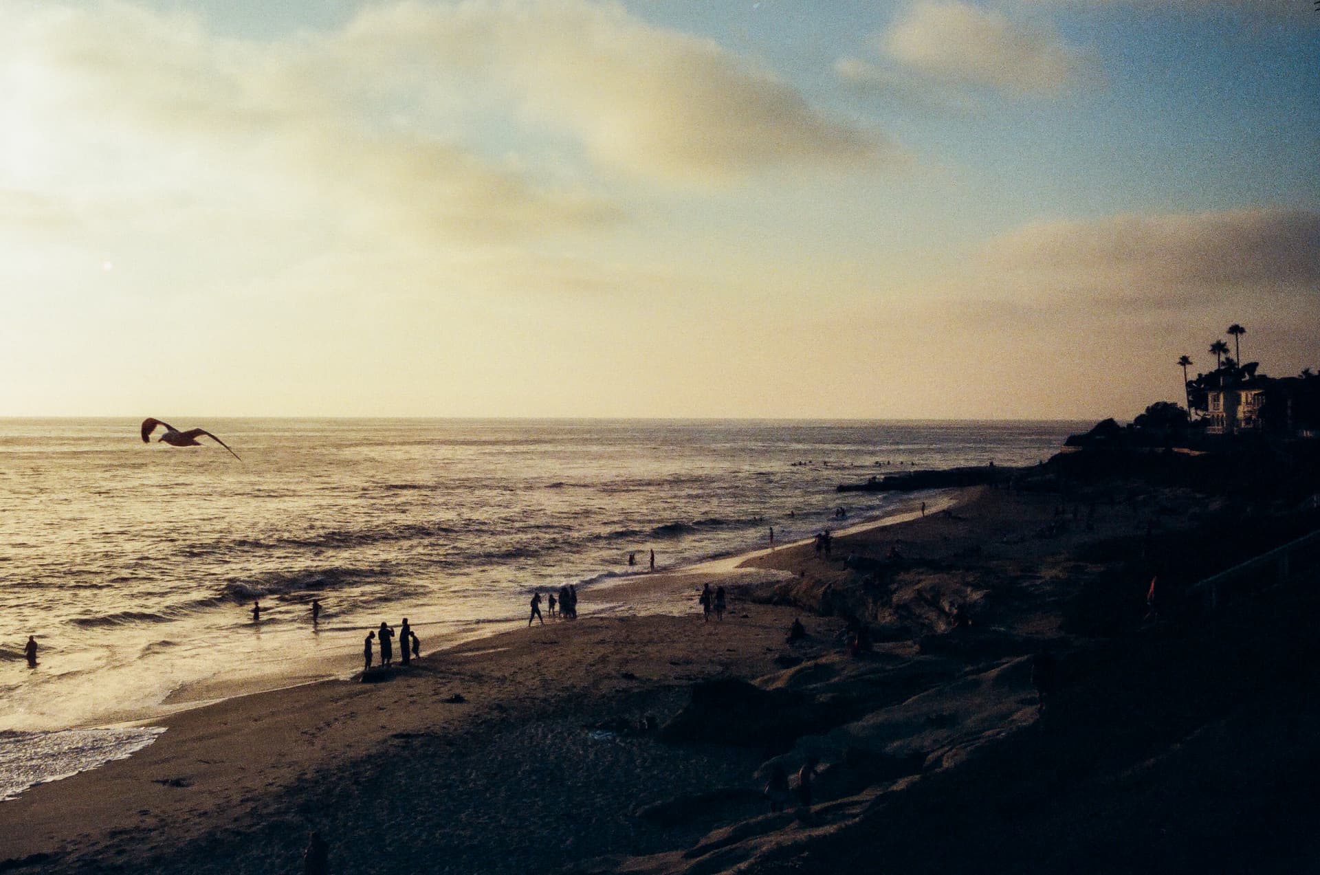 Landscapes for Rosemonts Cafe